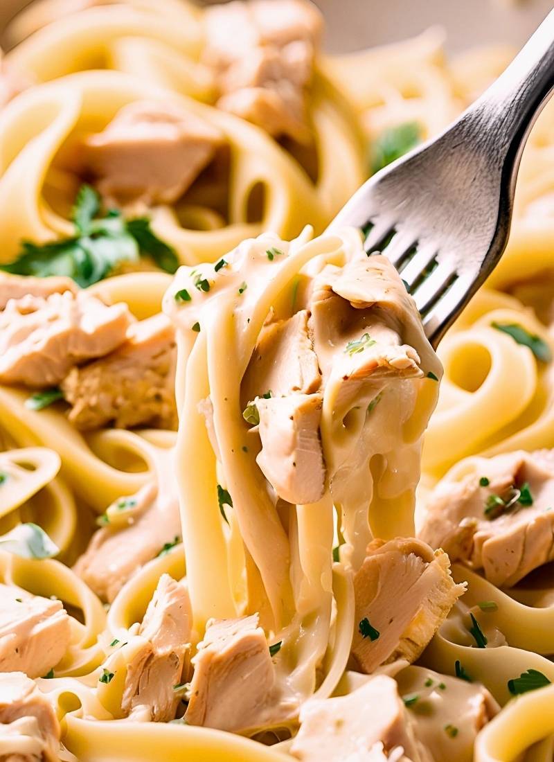 Close up of chicken alfredo pasta twirled on a fork – creamy alfredo sauce clings to each strand of fettuccine, with tender, golden seared chicken pieces resting on top.